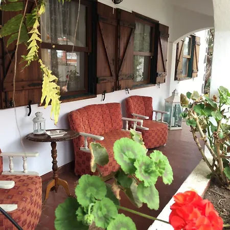 La Casita De Palmas Vv 3*
