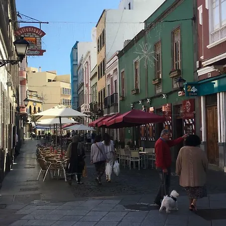 La Casita De Palmas Vv بيت ضيافة لاس بالماس دي غران كاناريا