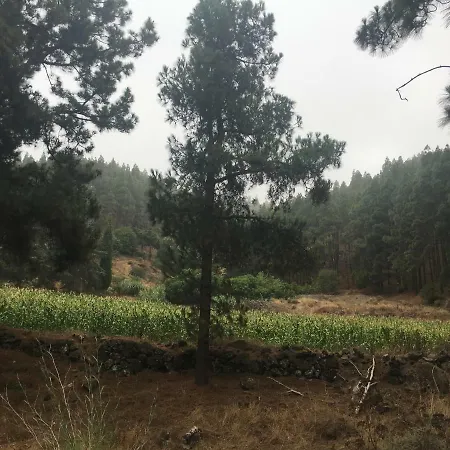 La Casita De Palmas Vv Maison d'hôtes