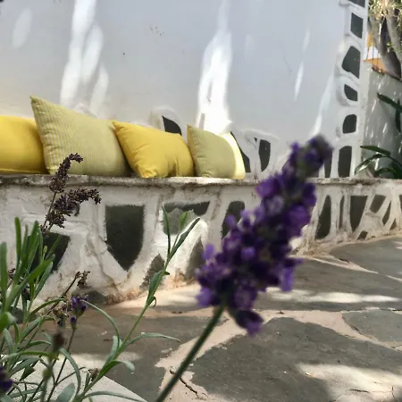 Pensión La Casita De Palmas Vv Las Palmas de Gran Canaria