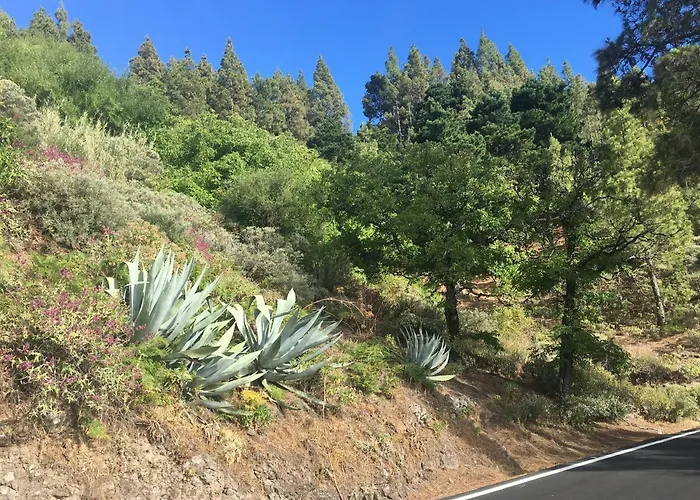 Gæstehus La Casita De Palmas Vv 3*