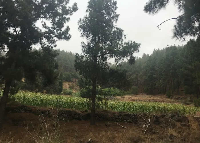 La Casita De Palmas Vv Pensjonat