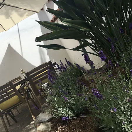 La Casita De Palmas Vv Gæstehus Las Palmas de Gran Canaria